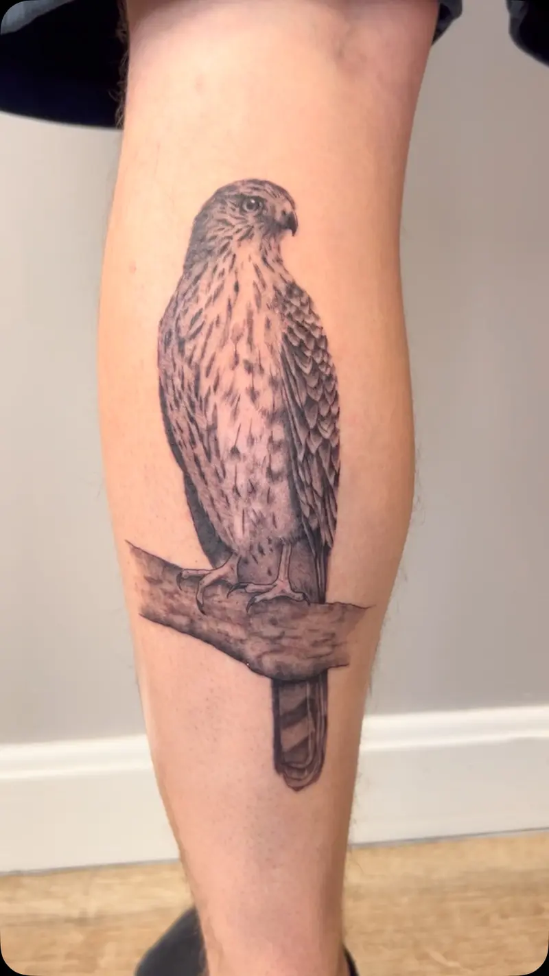 Tattoo of the day! #tattooartist #hawktattoo #blackandgreytattoo #tattootimelapse #billerica
