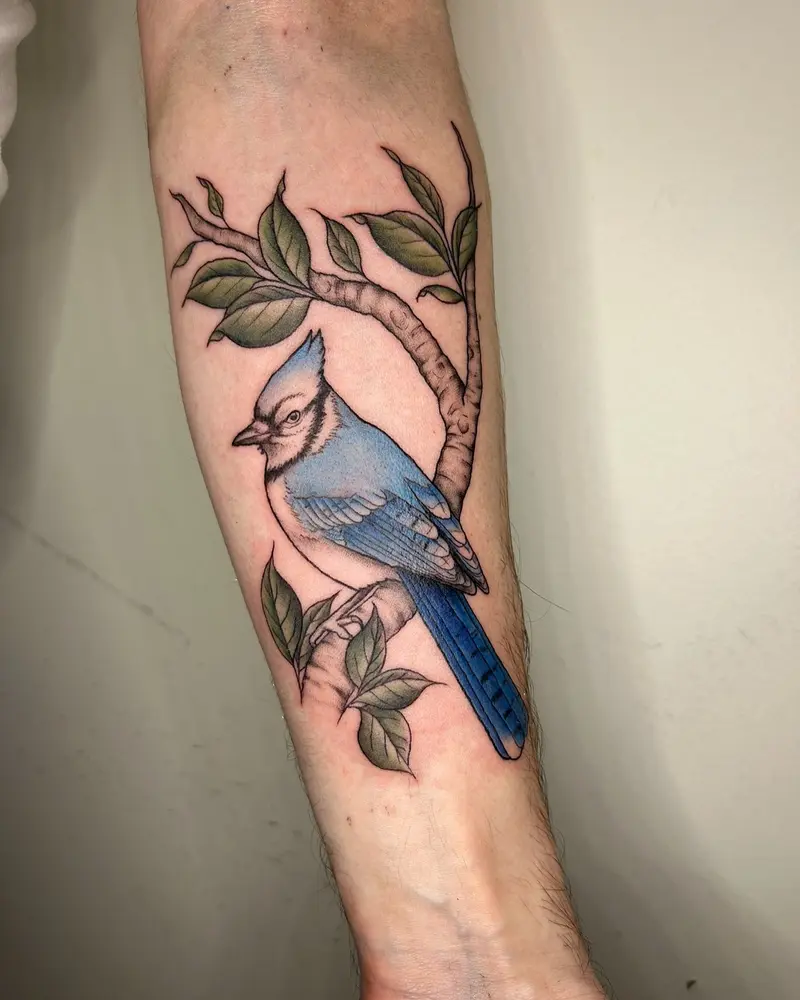 Blue jay that I just did and couldn’t wait to post 😍 * * * #bluejay #colortattoo #birdtattoo #birds #bluebird…