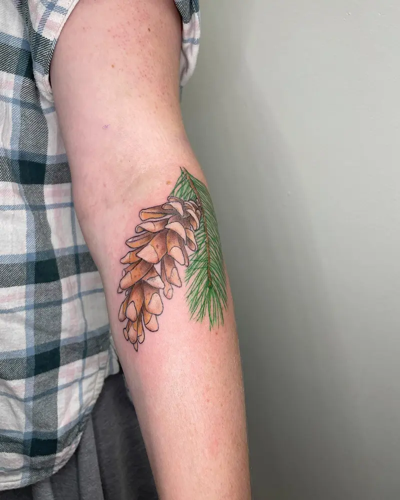 Pine cone from the other day 🌲 * * * #naturetattoo #meaningfultattoo #pineconetattoo #pinetree #pinecone…
