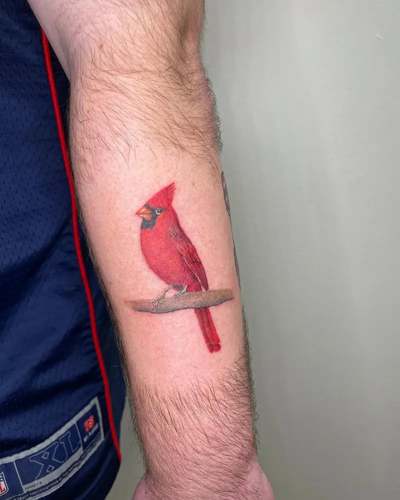 Cardinal from the other day * * * #cardinaltattoo #painterlytattoo #realismtattoo #watercolortattoo #colortattoo…