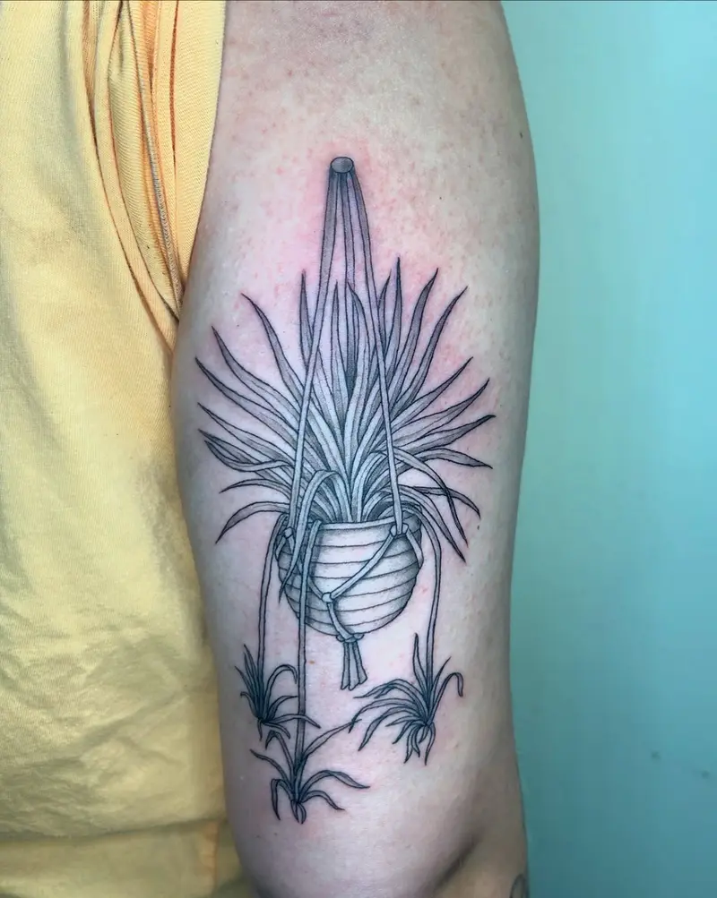 Spider plant done on the best @grace_jones2015 🥰🥰🥰 * * * #spiderplant #planttattoo #hangingplant #vines…
